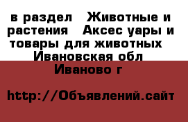  в раздел : Животные и растения » Аксесcуары и товары для животных . Ивановская обл.,Иваново г.